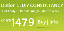 Search Engine Optimisation