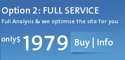 Search Engine Optimization